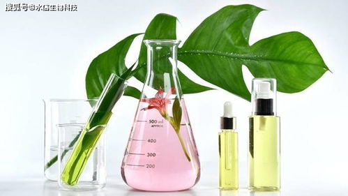 馬齒莧提取物在護(hù)膚品與化妝品中的優(yōu)勢(shì)與適用性